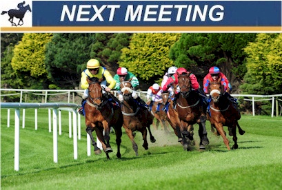 NEXT RACE